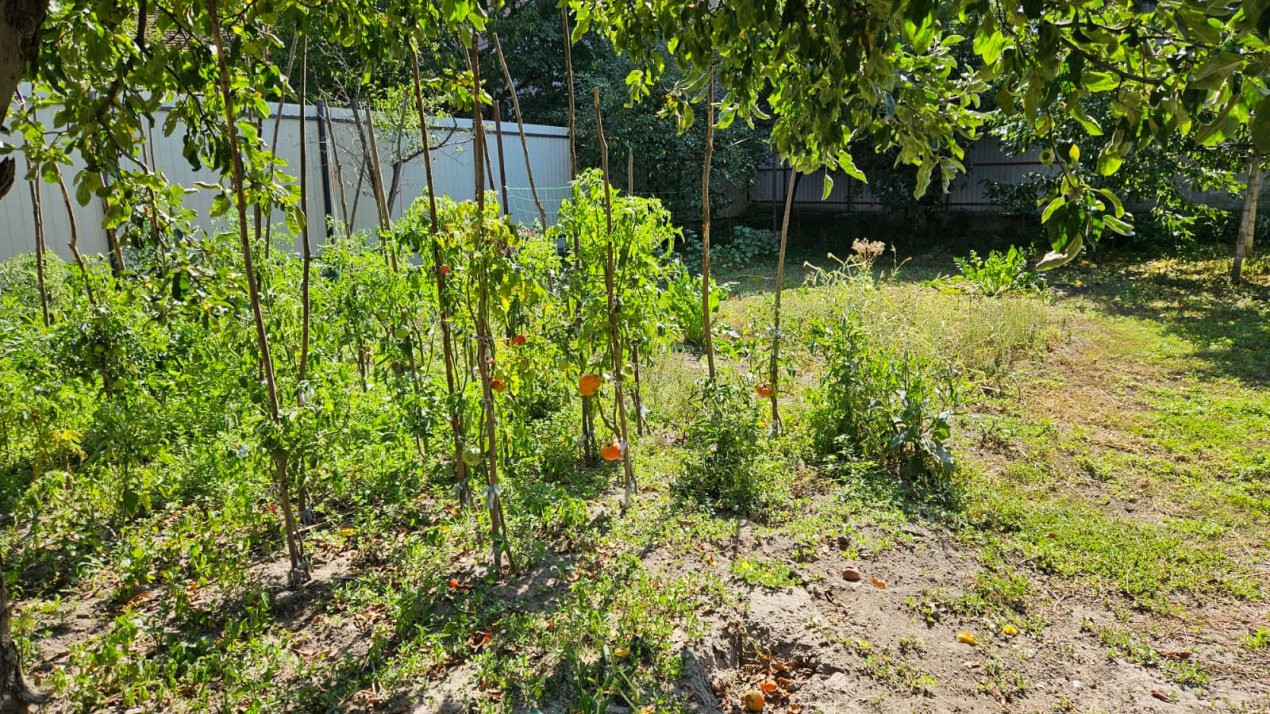 Casă individuală compusă din două apartamente, cu teren liber de 540 mp 