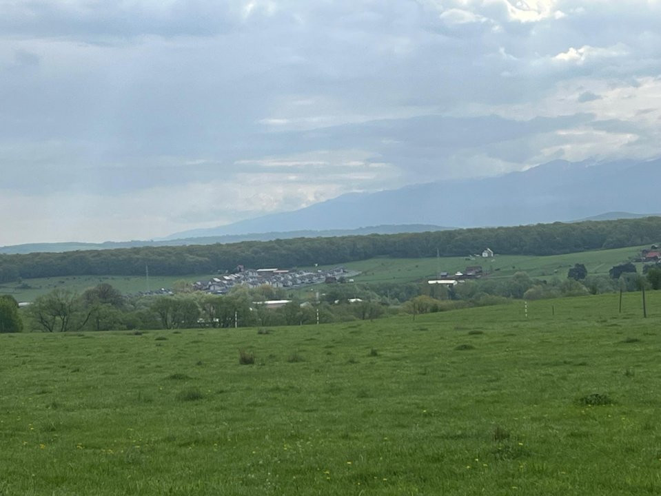 Teren intravilan 438 mp | Calea Cisnădiei – Str. Zorilor | Potențial excelent