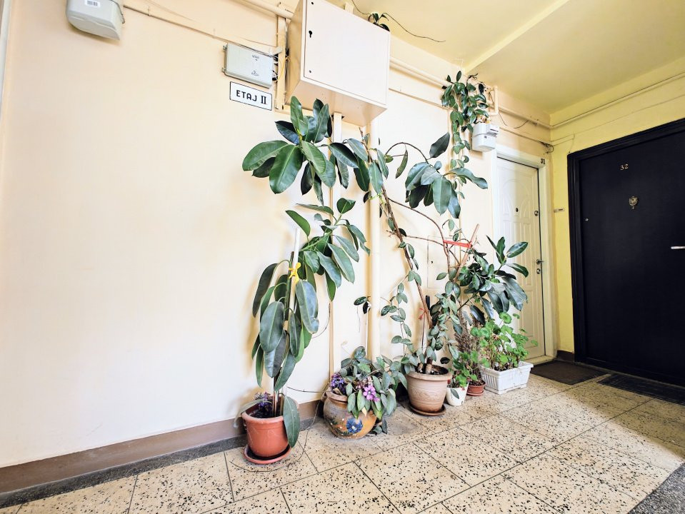  Apartament 2 camere/etaj 2/Calea Dumbrăvii-Dioda/disponibil imediat