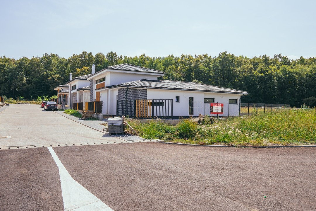 Vila Exclusivista Noua Design Modern si Finisaje de Inalta Calitate Langa Pădure