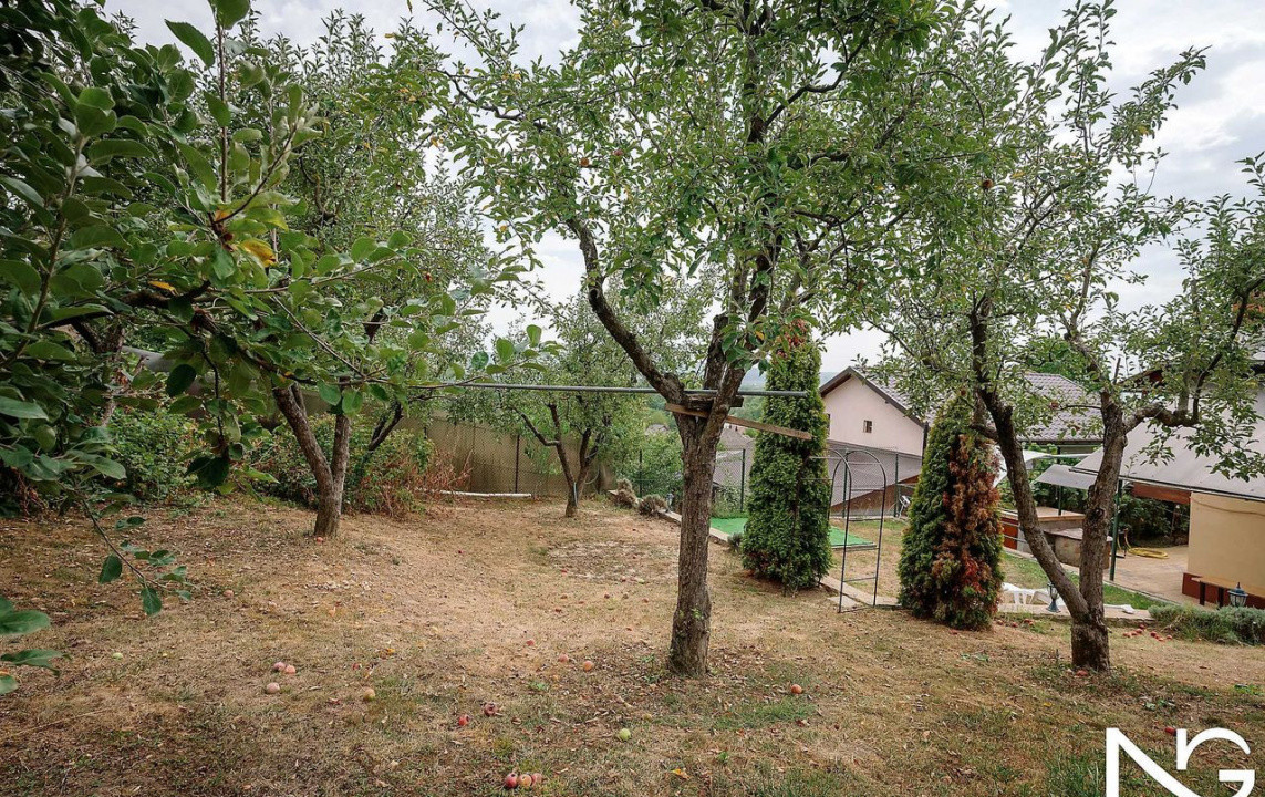 Casă de vânzare în Băjești, comuna Bălilești, județul Argeș – Mioveni