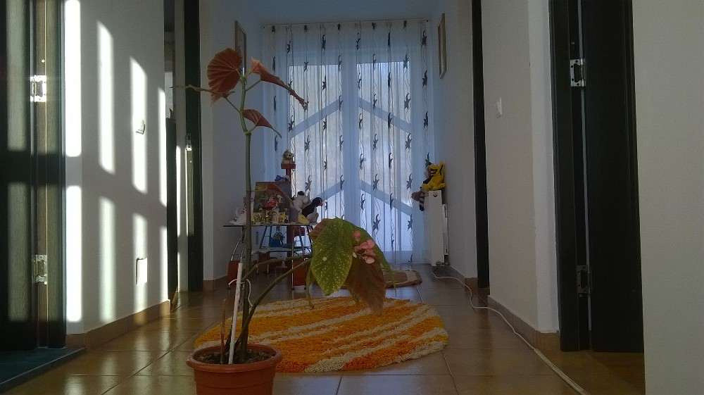 Casă spațioasă în Valea Mărului, cu anexa locuibilă și teren generos