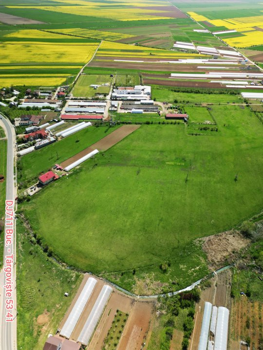 Oportunitate de investiție strategică în Băleni-Români: Teren de 95.000 m² 