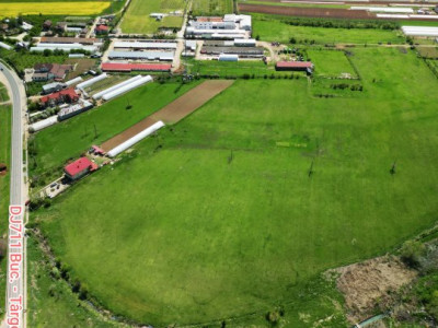 Oportunitate de investiție strategică în Băleni-Români: Teren de 95.000 m² 