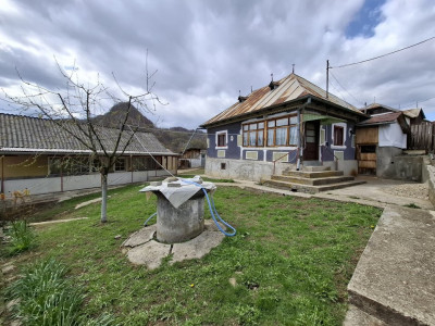 Vânzare căsuță rustică în com. Bărbulețu, jud. Dâmvovița
