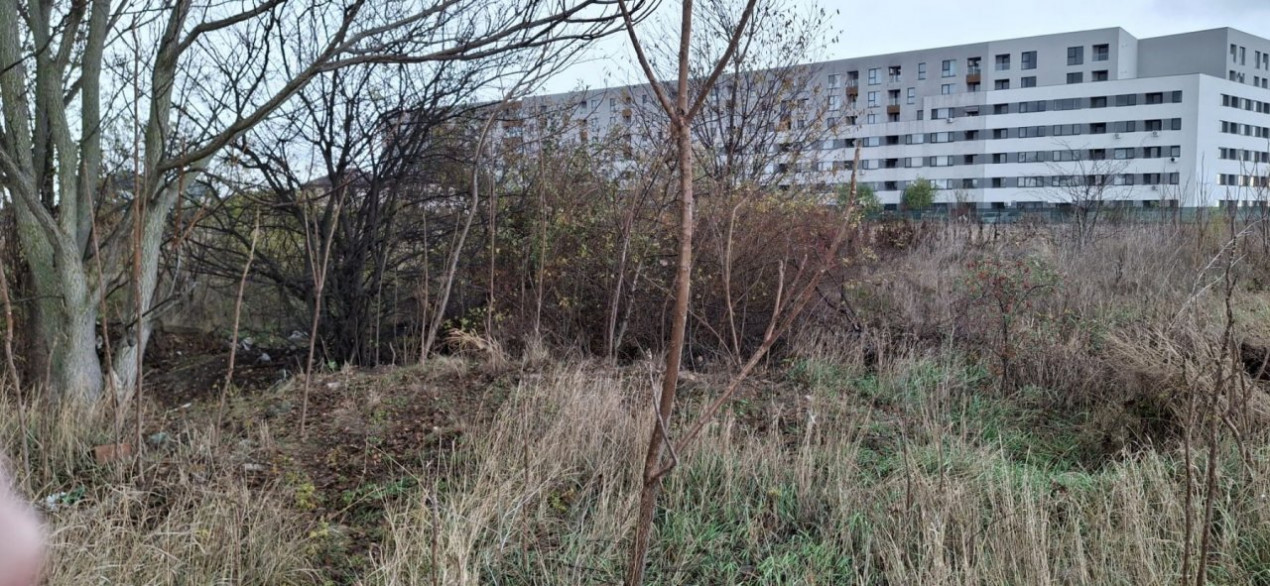 Teren   Bragadiru