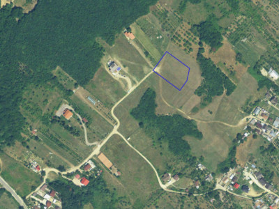 Teren intravilan de vânzare în Ștefănești – Valea Mare Podgoria