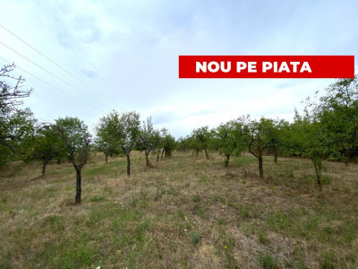Teren intravilan 1.765 mp in Poiana Lacului, AG