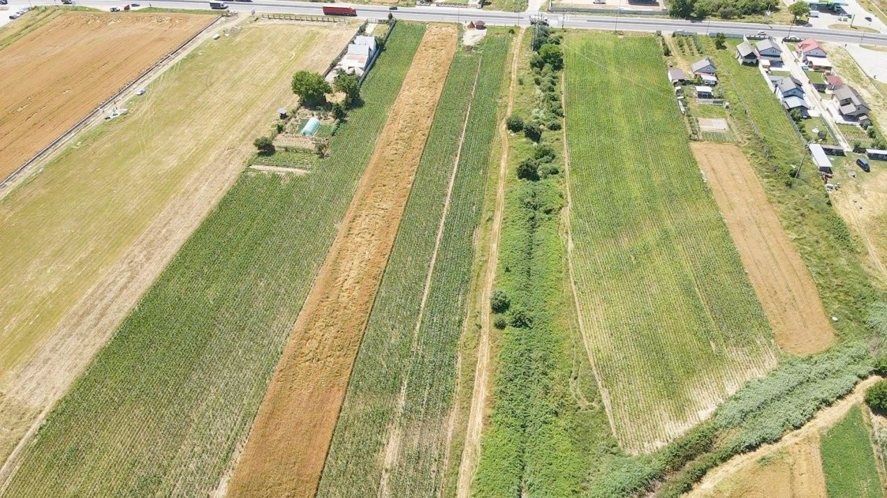 Teren cu potențial de dezvoltare –7427 mp în Argeșelu, Mărăcineni, județul Arges