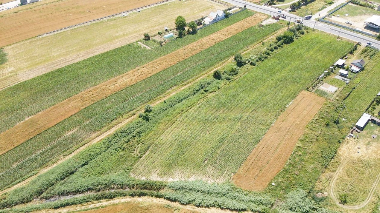 Teren cu potențial de dezvoltare –7427 mp în Argeșelu, Mărăcineni, județul Arges