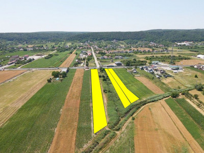 Teren cu potențial de dezvoltare –7427 mp în Argeșelu, Mărăcineni, județul Arges