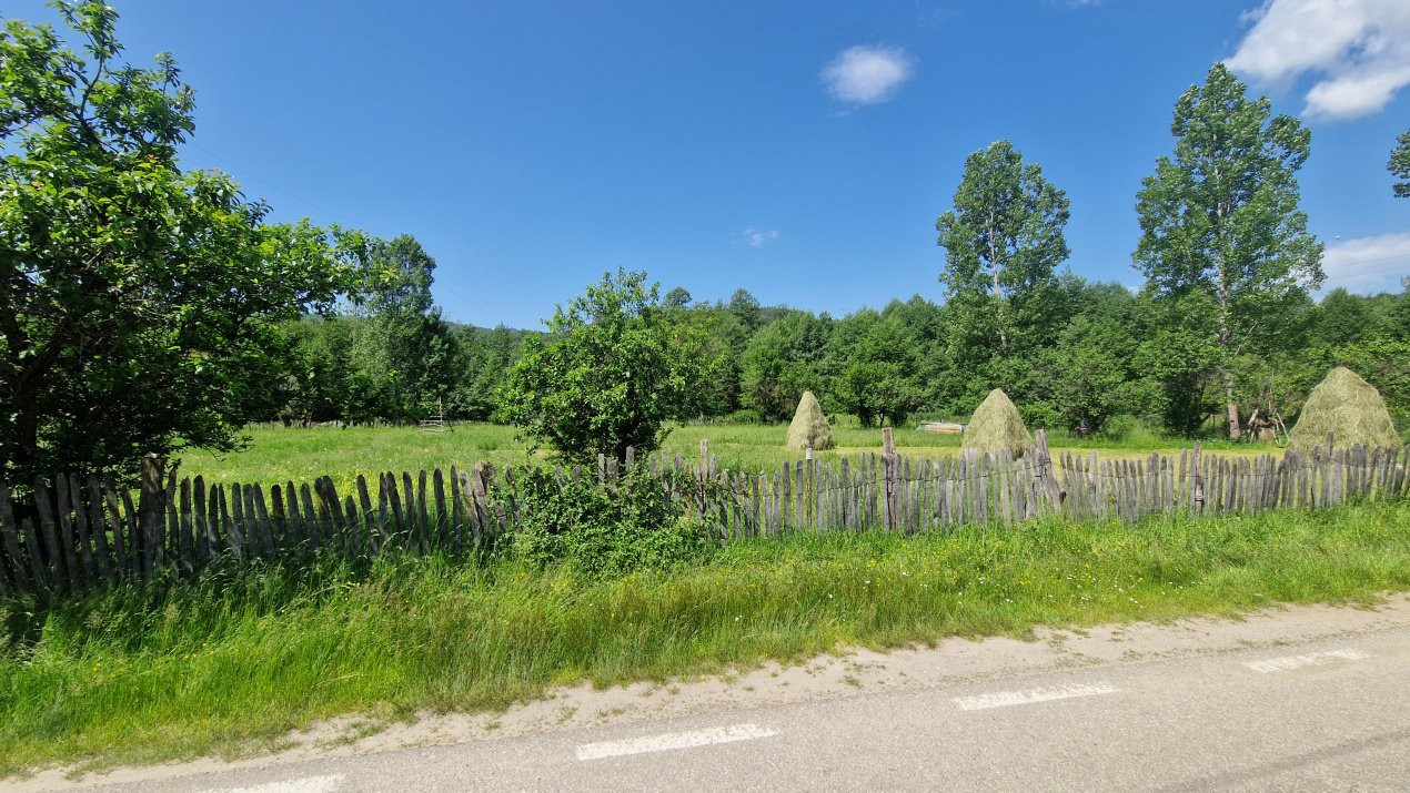 Teren de vanzare in judetul Arges, localitatea Arefu 