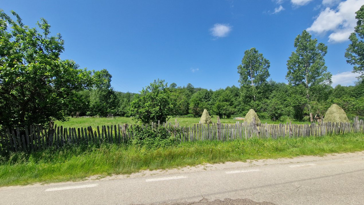 Teren de vanzare in judetul Arges, localitatea Arefu 