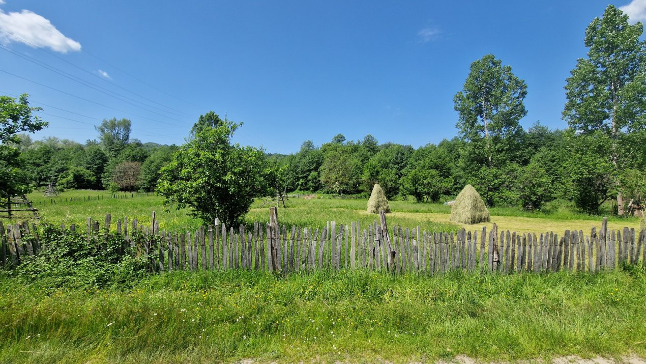 Teren de vanzare in judetul Arges, localitatea Arefu 