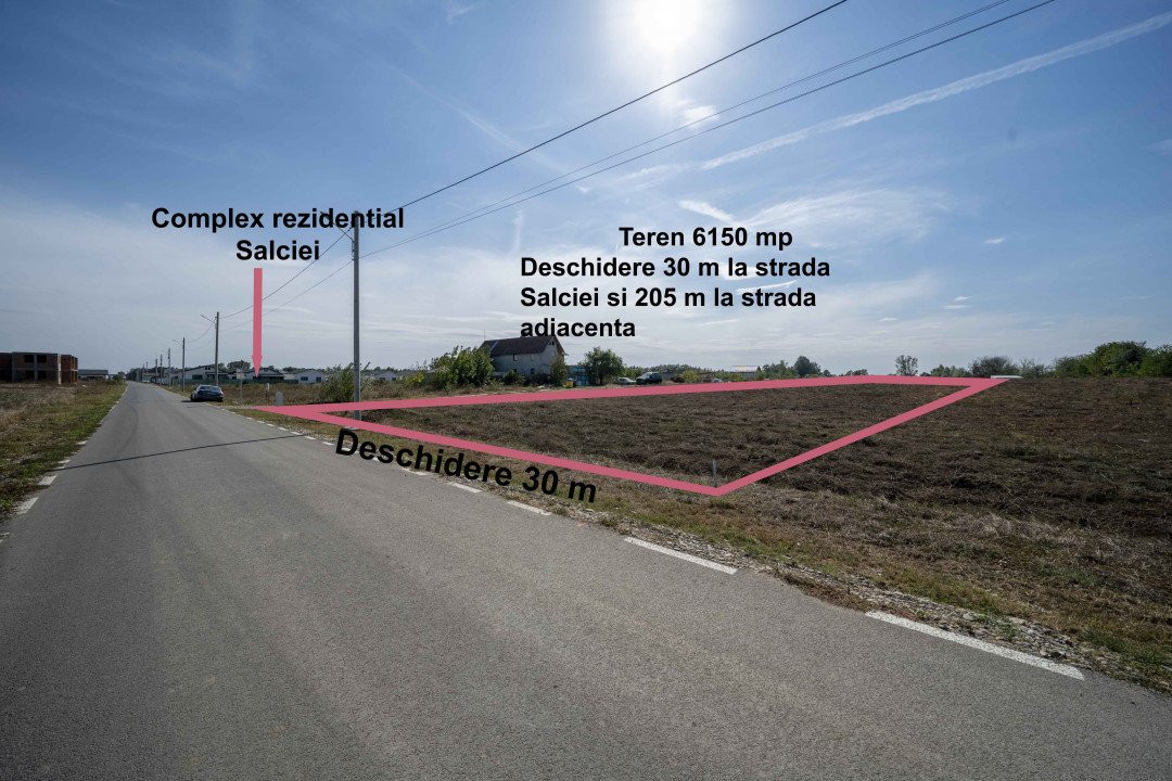 Teren 6000mp*Domnesti*Salciei-Haltei-Ciocarliei*Drum asfaltat cu utilitati